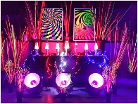 Hawaii Props & Decorations